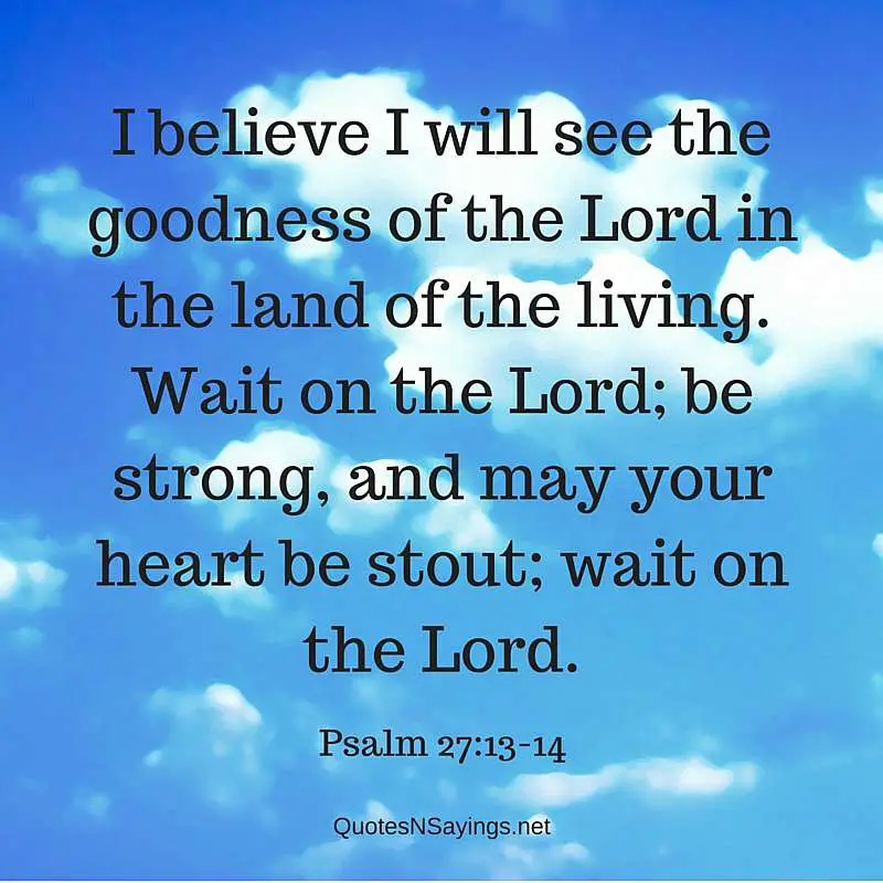 I believe I will see the Lord - Psalm 27:13-14