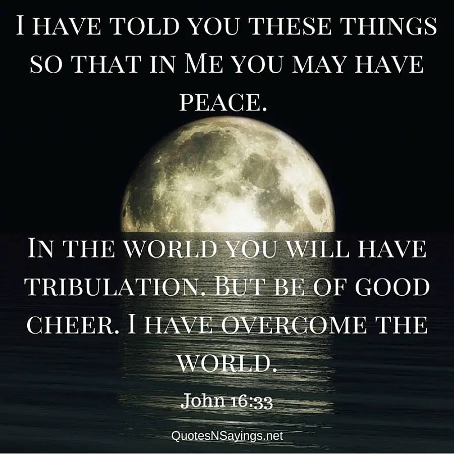 I have told you these things - John 16:33