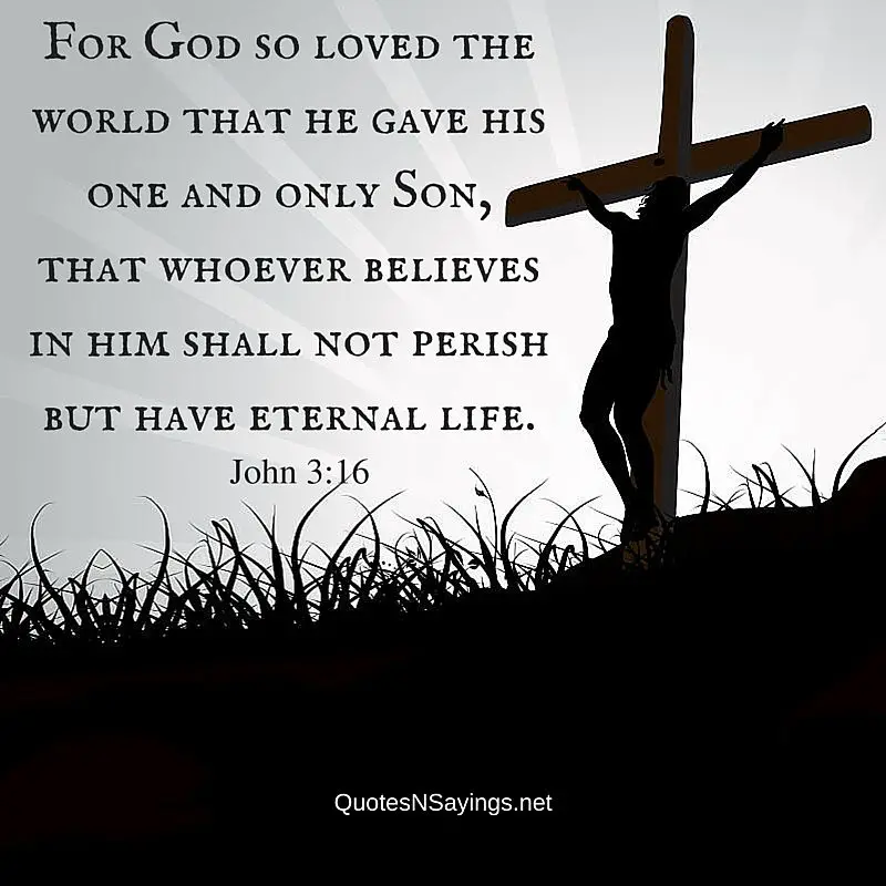 Bible quotes on death : For God so loved the world that he gave his one and only Son, that whoever believes in him shall not perish but have eternal life. - John 3:16