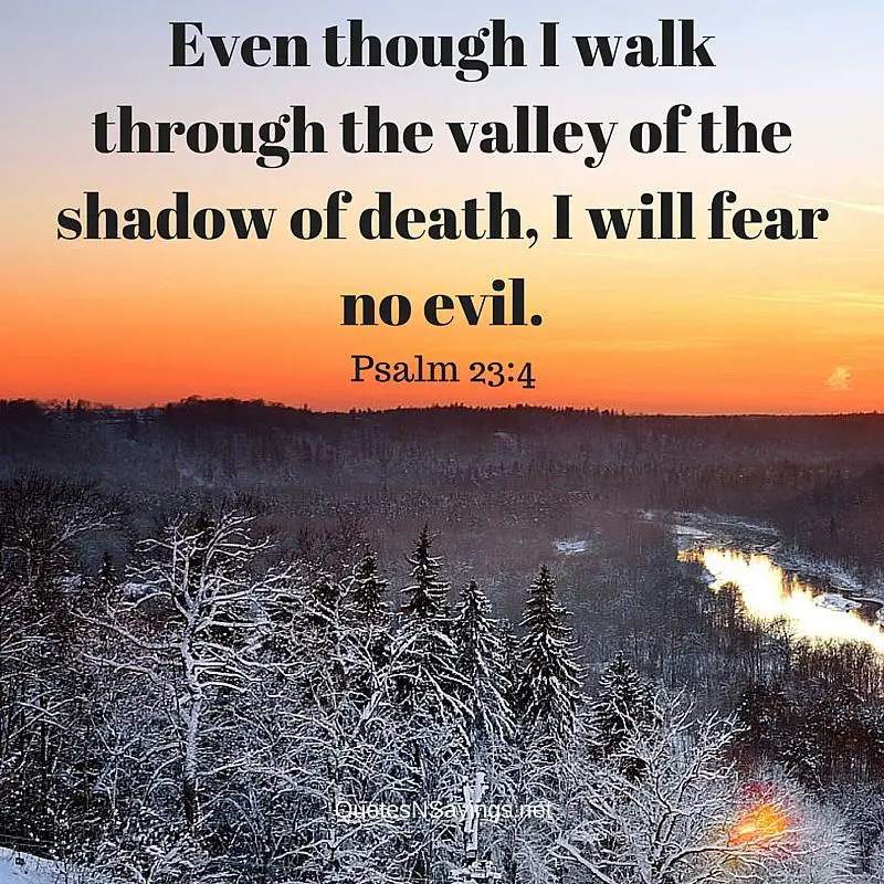 Even though I walk through the valley of the shadow of death, I will fear no evil. - Psalm 23:4