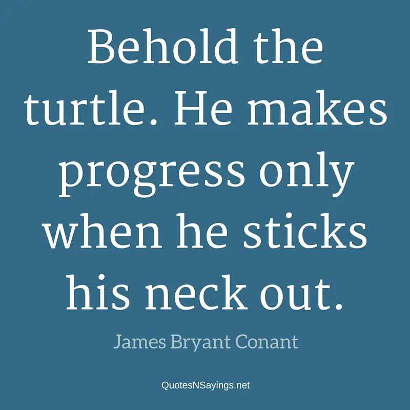 Behold the turtle. He makes progress only when he sticks his neck out. - James Bryant Conant quote