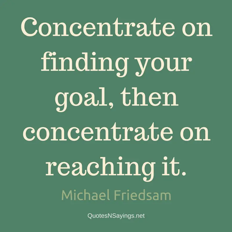 Concentrate on finding your goal - Michael Friedsam Quote
