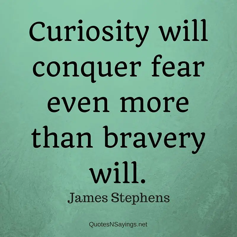 Curiosity will conquer fear even more than bravery will. - James Stephens quote