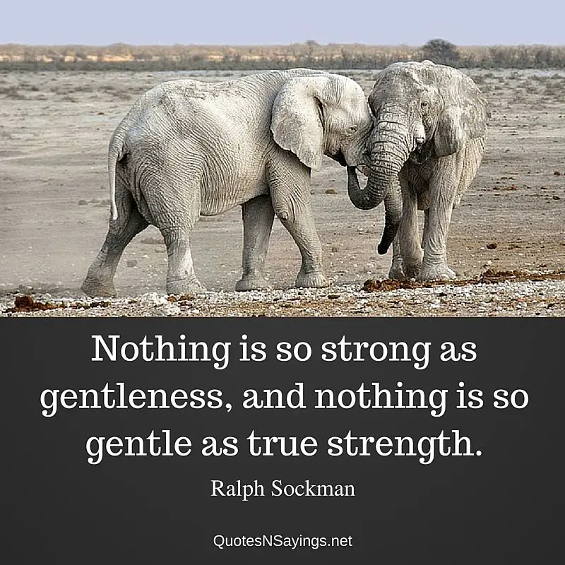 Nothing is so strong as gentleness, and nothing is so gentle as true strength ~ Ralph Sockman quote about strength