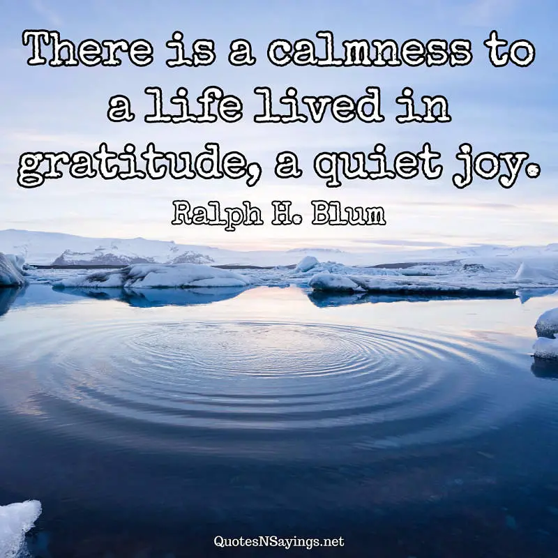 There is a calmness to a life lived in gratitude, a quiet joy. - Ralph H. Blum quote