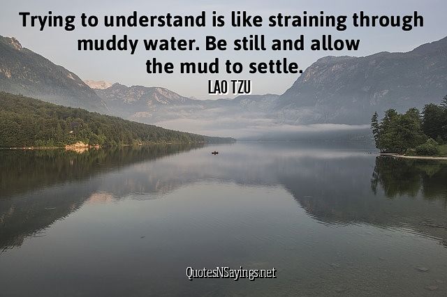 Trying To Understand - Lao Tzu Quote