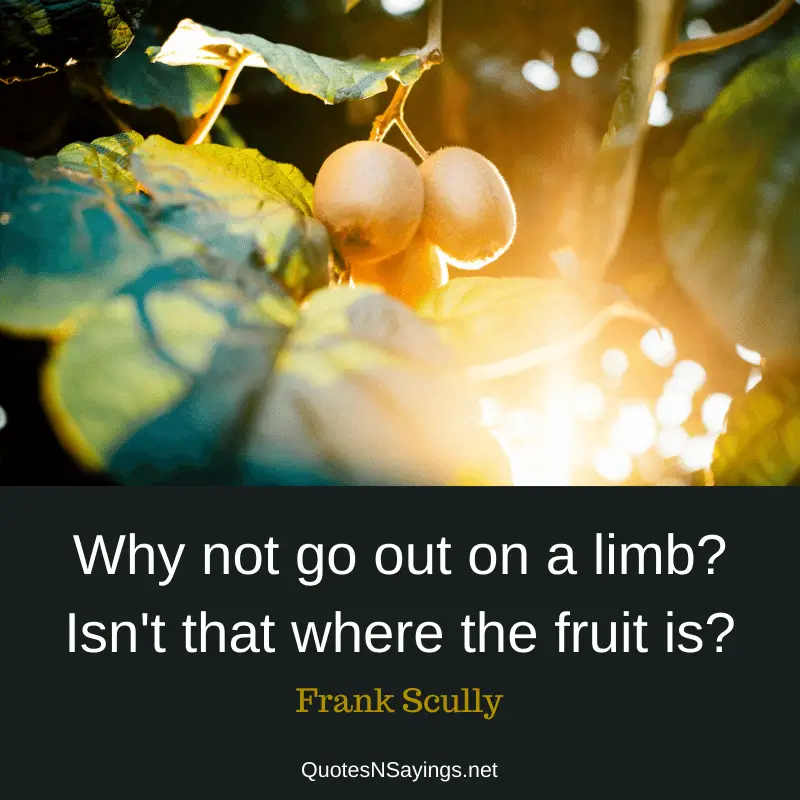 Frank Scully quote - Why not go out on a limb?