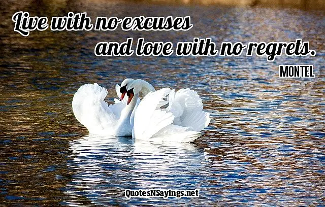 Live with no excuses and love with no regrets - Montel quote