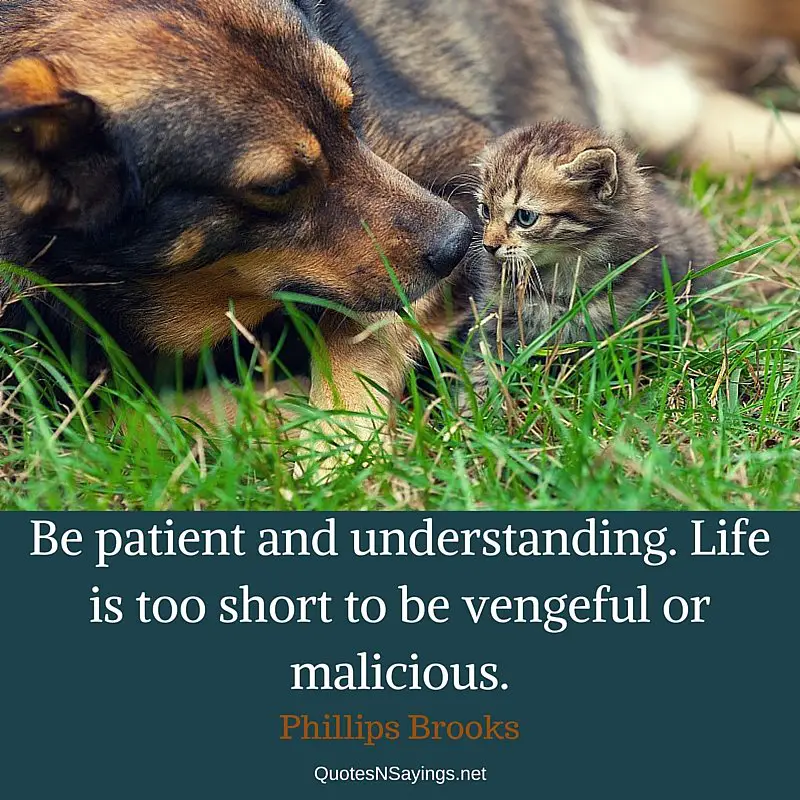 Be patient and understanding. Life is too short to be vengeful or malicious. - Phillips Brooks short life quote