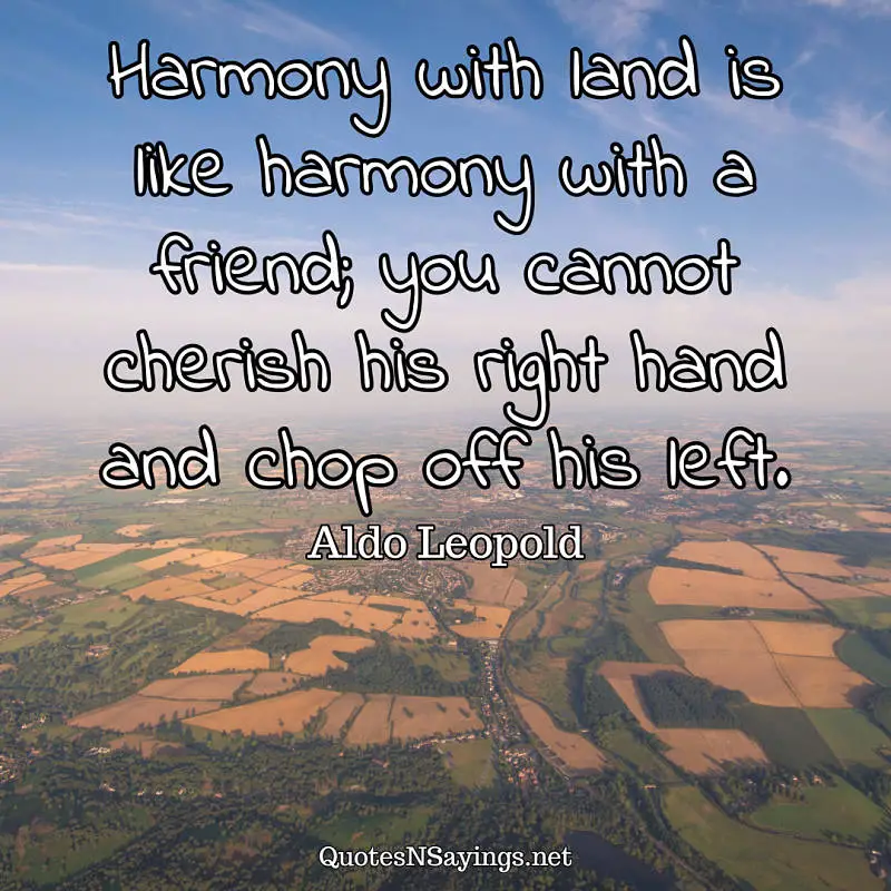 Harmony with land is like harmony with a friend; you cannot cherish his right hand and chop off his left. - Aldo Leopold quote
