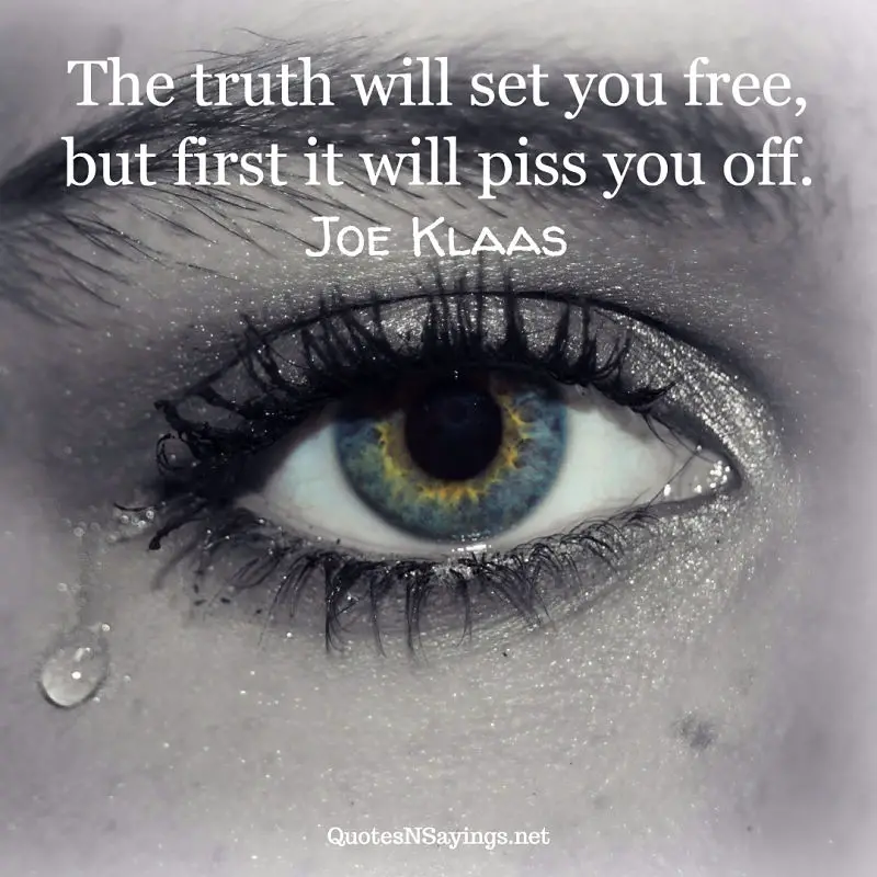 The truth will set you free, but first it will piss you off. - Joe Klaas quote