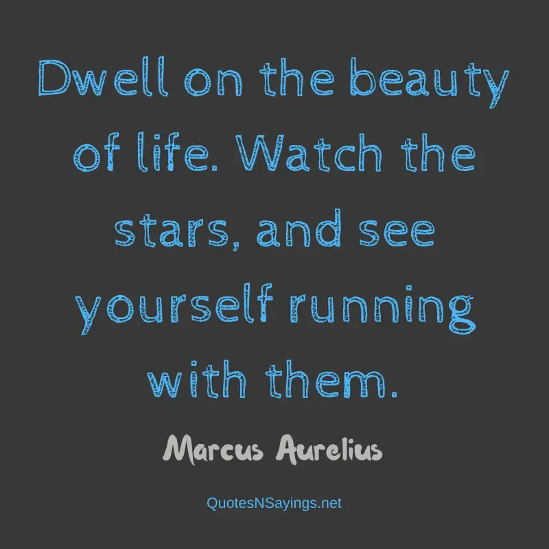 Marcus Aurelius quote - Dwell on the beauty of life ...