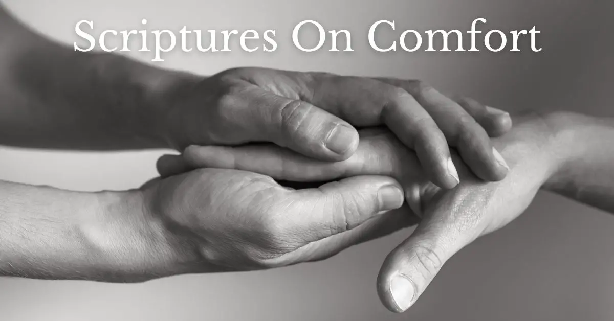 Featured image for a page of moving scriptures on comfort.